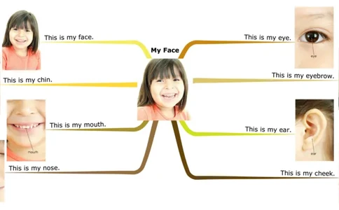 myface_《小学思维导图》_思维导图语数英第二套_英语_思维导图_思维导图RAZA