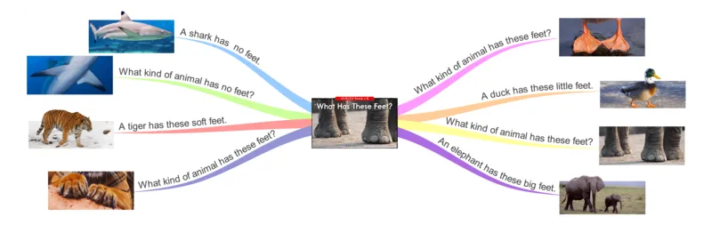 whathasthesefeet_《小学思维导图》_思维导图语数英第二套_英语_思维导图_思维导图RAZB