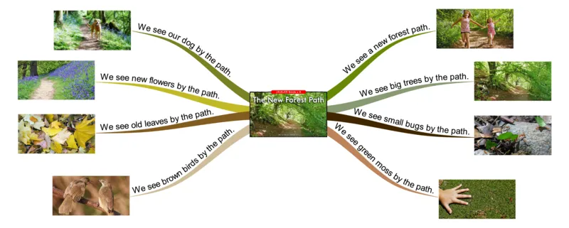 thenewforestpath_《小学思维导图》_思维导图语数英第二套_英语_思维导图_思维导图RAZB