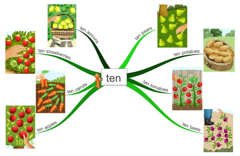 ten_《小学思维导图》_思维导图语数英第二套_英语_思维导图_思维导图RAZAA