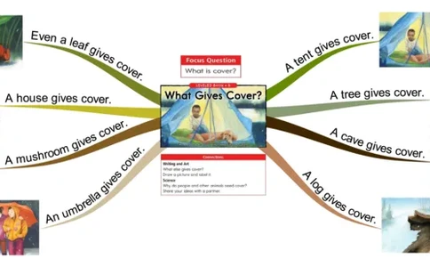 whatgivescover_《小学思维导图》_思维导图语数英第二套_英语_思维导图_思维导图RAZB