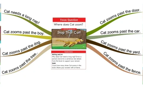 stopthatcat_《小学思维导图》_思维导图语数英第二套_英语_思维导图_思维导图RAZB