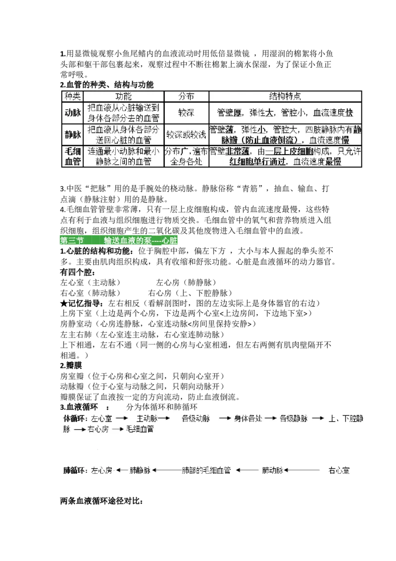 人教版初中生物七年级下册知识点_24秋《初中各科知识点梳理》_初中生物《知识梳理》7-8年级上下册_人教版初中生物7-8年级上下册知识点