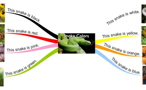 snakecolors_《小学思维导图》_思维导图语数英第二套_英语_思维导图_思维导图RAZA
