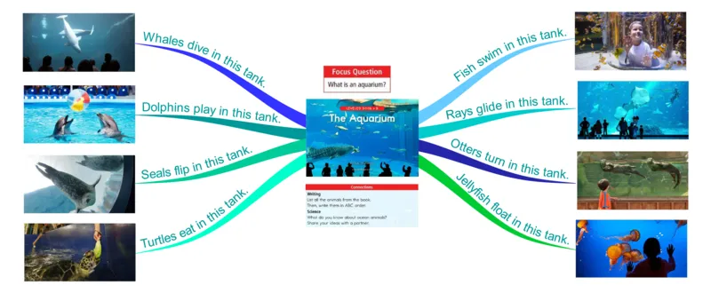 theaquarium_《小学思维导图》_思维导图语数英第二套_英语_思维导图_思维导图RAZB