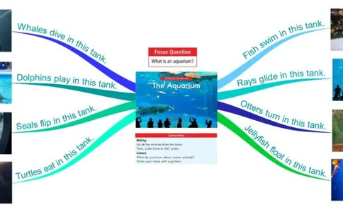 theaquarium_《小学思维导图》_思维导图语数英第二套_英语_思维导图_思维导图RAZB