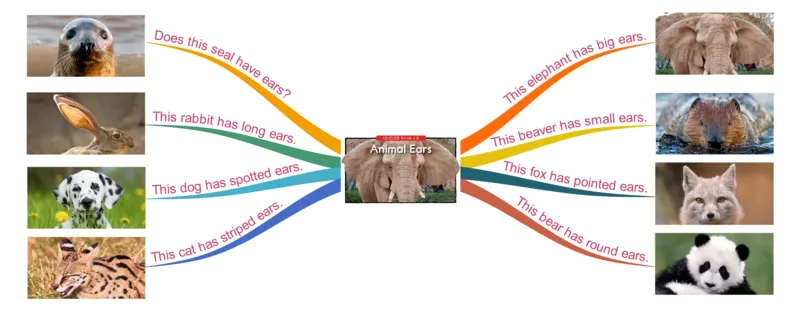 animalears_《小学思维导图》_思维导图语数英第二套_英语_思维导图_思维导图RAZB