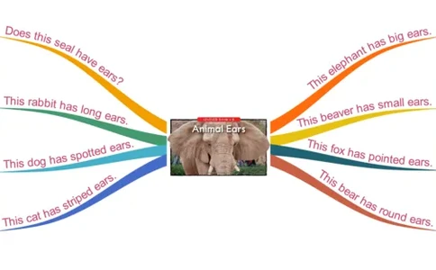 animalears_《小学思维导图》_思维导图语数英第二套_英语_思维导图_思维导图RAZB