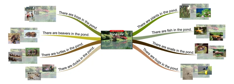 pondlife_《小学思维导图》_思维导图语数英第二套_英语_思维导图_思维导图RAZB