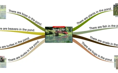 pondlife_《小学思维导图》_思维导图语数英第二套_英语_思维导图_思维导图RAZB
