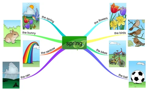 spring_《小学思维导图》_思维导图语数英第二套_英语_思维导图_思维导图RAZAA