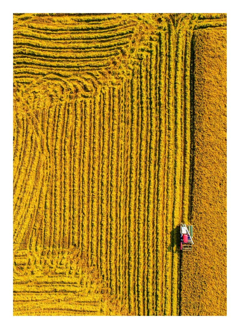 普通高中教科书&middot;艺术必修1艺术与生活(1)_高中全套电子教材及答案。_01高中电子教材全套_艺术_沪教版_高中年级_必修1艺术与生活