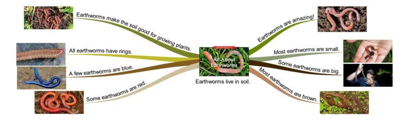 allaboutearthworms_《小学思维导图》_思维导图语数英第二套_英语_思维导图_思维导图RAZC