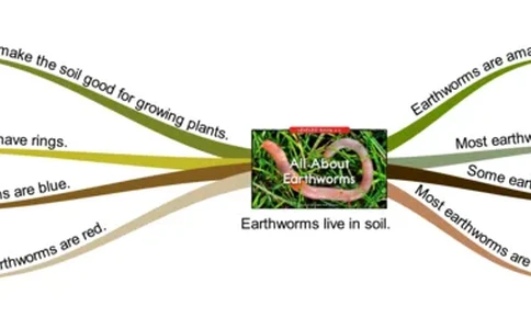 allaboutearthworms_《小学思维导图》_思维导图语数英第二套_英语_思维导图_思维导图RAZC