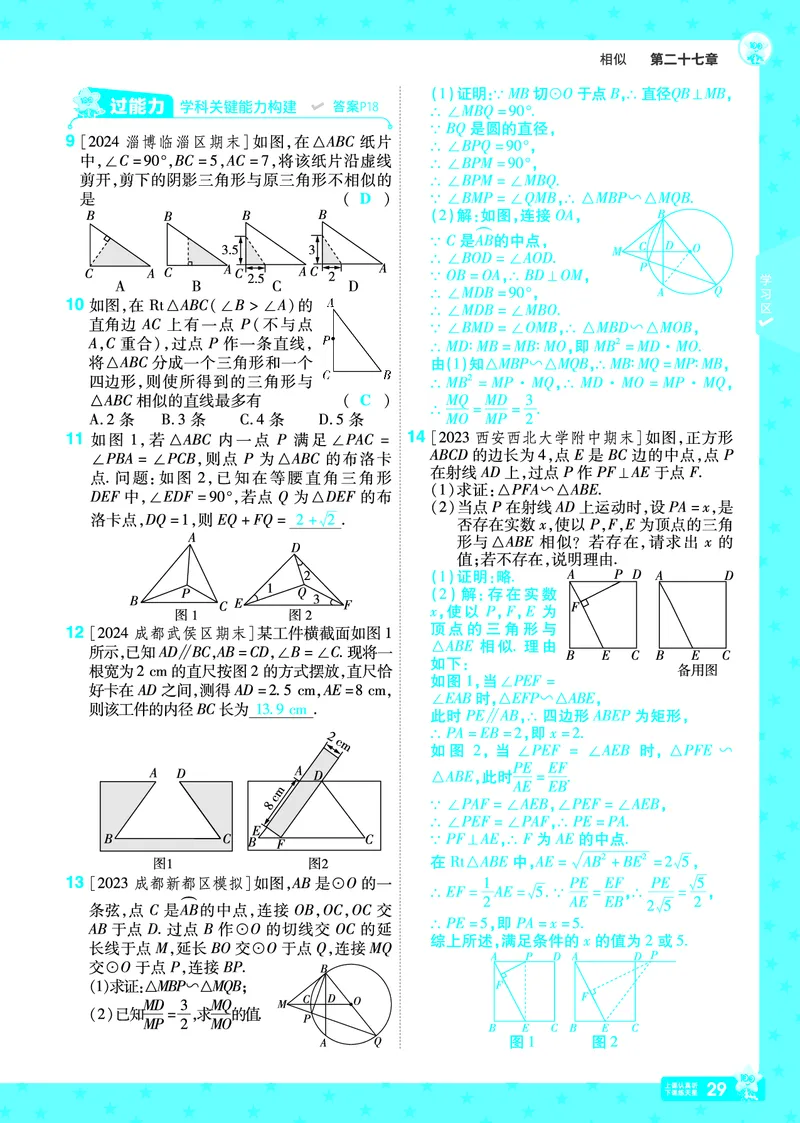 2025《初中数学&bull;一遍过》九下(RJ)教用_2026春《初中一遍过》系列_2026《天星教育&bull;一遍过》（9年级下册)）(人教+北师）_2025《初中数学&bull;一遍过》教用版
