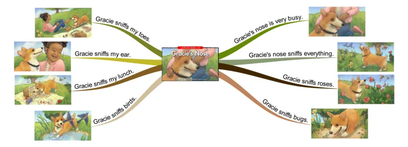 Gracie'snose_《小学思维导图》_思维导图语数英第二套_英语_思维导图_思维导图RAZB
