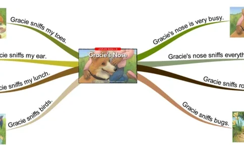 Gracie'snose_《小学思维导图》_思维导图语数英第二套_英语_思维导图_思维导图RAZB