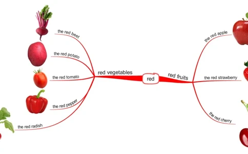 red_《小学思维导图》_思维导图语数英第二套_英语_思维导图_思维导图RAZAA
