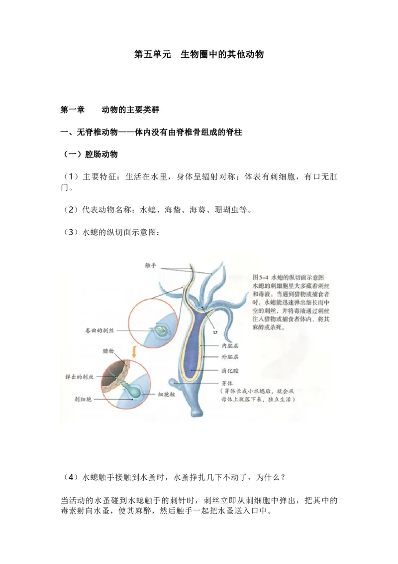 人教版初中生物八年级上册知识梳理_24秋《初中各科知识点梳理》_初中生物《知识梳理》7-8年级上下册_人教版初中生物7-8年级上下册知识点