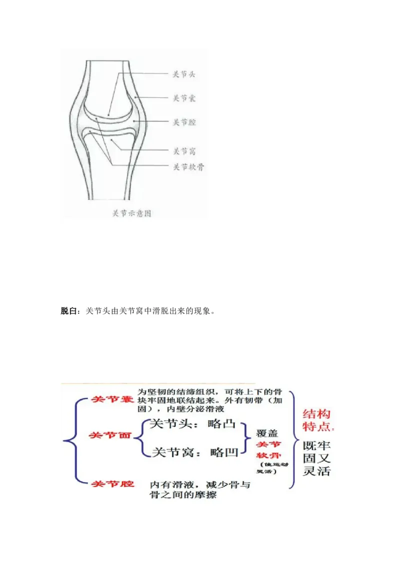 人教版初中生物八年级上册知识梳理_24秋《初中各科知识点梳理》_初中生物《知识梳理》7-8年级上下册_人教版初中生物7-8年级上下册知识点