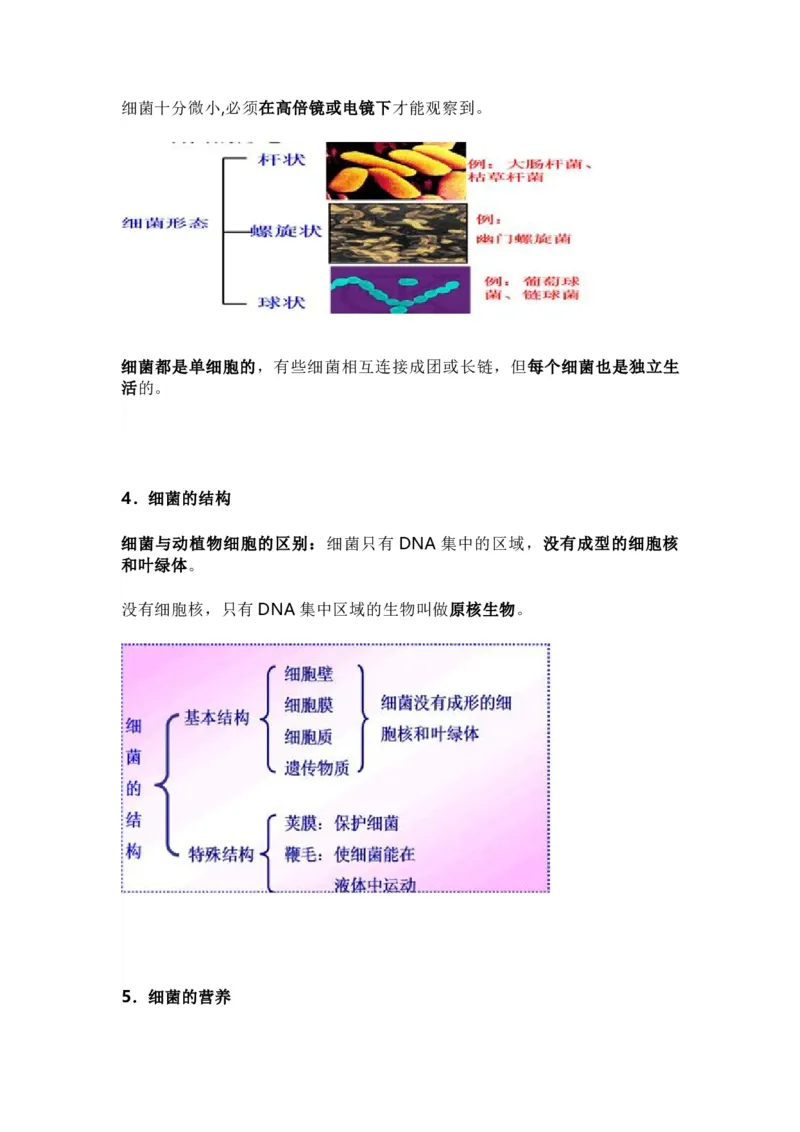 人教版初中生物八年级上册知识梳理_24秋《初中各科知识点梳理》_初中生物《知识梳理》7-8年级上下册_人教版初中生物7-8年级上下册知识点