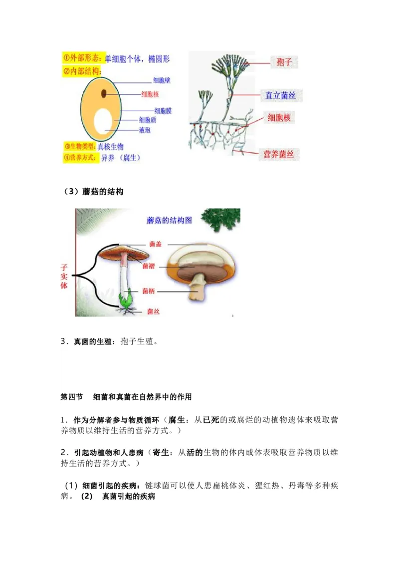 人教版初中生物八年级上册知识梳理_24秋《初中各科知识点梳理》_初中生物《知识梳理》7-8年级上下册_人教版初中生物7-8年级上下册知识点