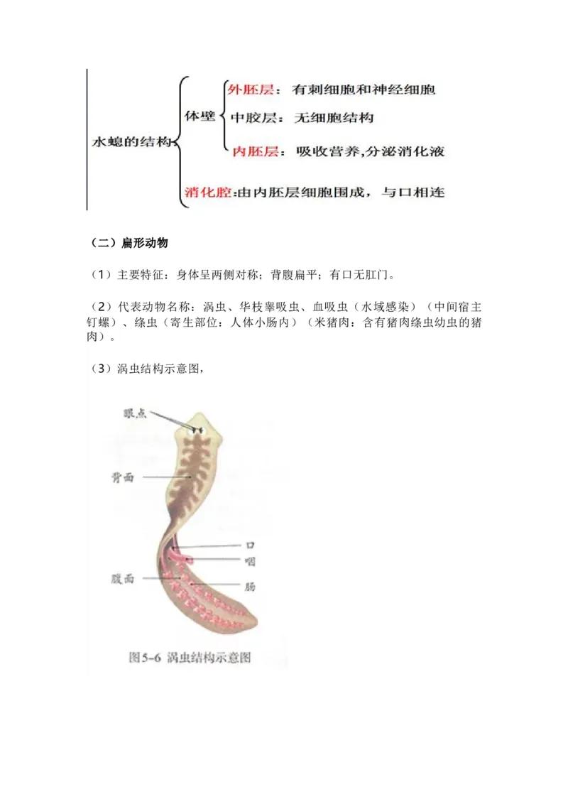 人教版初中生物八年级上册知识梳理_24秋《初中各科知识点梳理》_初中生物《知识梳理》7-8年级上下册_人教版初中生物7-8年级上下册知识点