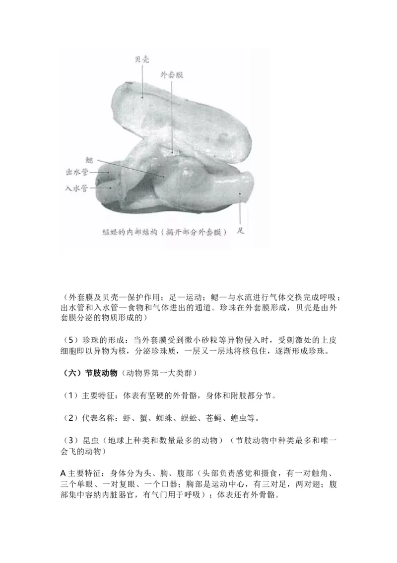 人教版初中生物八年级上册知识梳理_24秋《初中各科知识点梳理》_初中生物《知识梳理》7-8年级上下册_人教版初中生物7-8年级上下册知识点