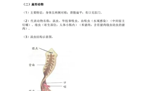 人教版初中生物八年级上册知识梳理_24秋《初中各科知识点梳理》_初中生物《知识梳理》7-8年级上下册_人教版初中生物7-8年级上下册知识点