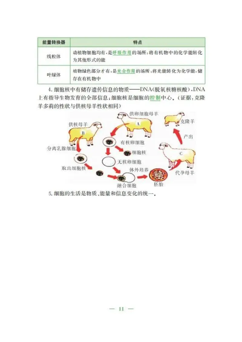 人教版初中生物七年级上册知识梳理_24秋《初中各科知识点梳理》_初中生物《知识梳理》7-8年级上下册_人教版初中生物7-8年级上下册知识点