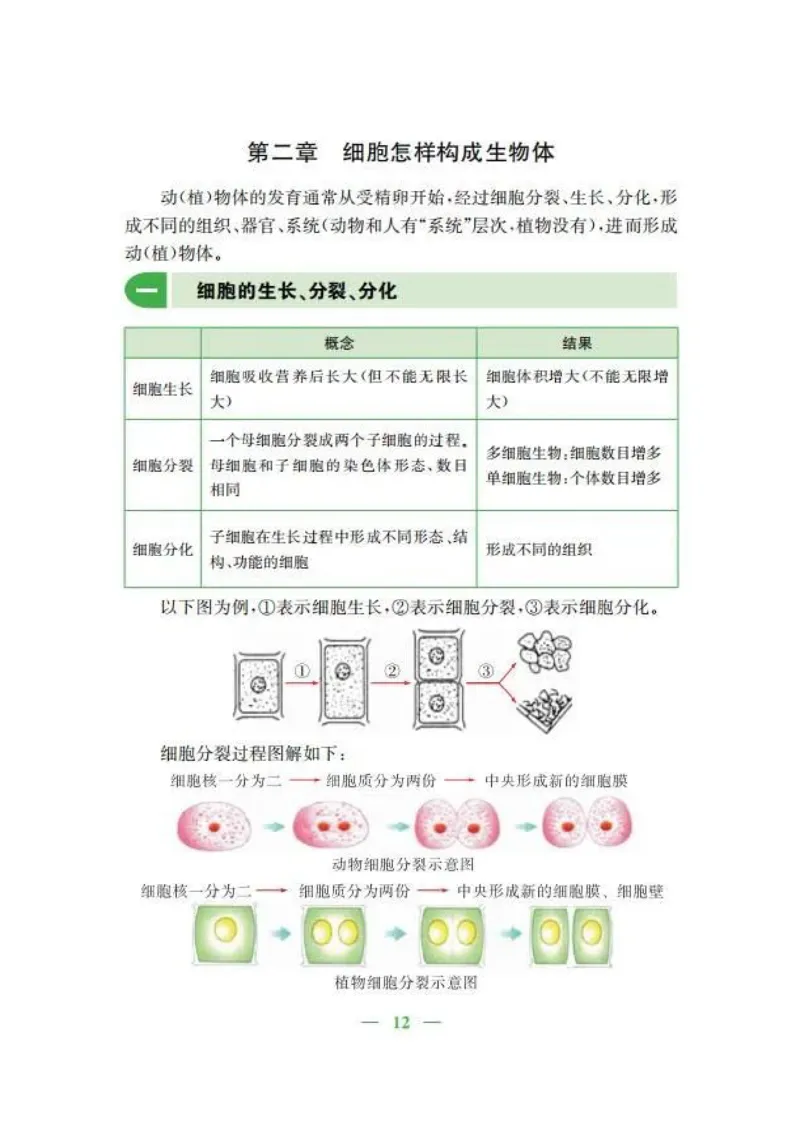 人教版初中生物七年级上册知识梳理_24秋《初中各科知识点梳理》_初中生物《知识梳理》7-8年级上下册_人教版初中生物7-8年级上下册知识点