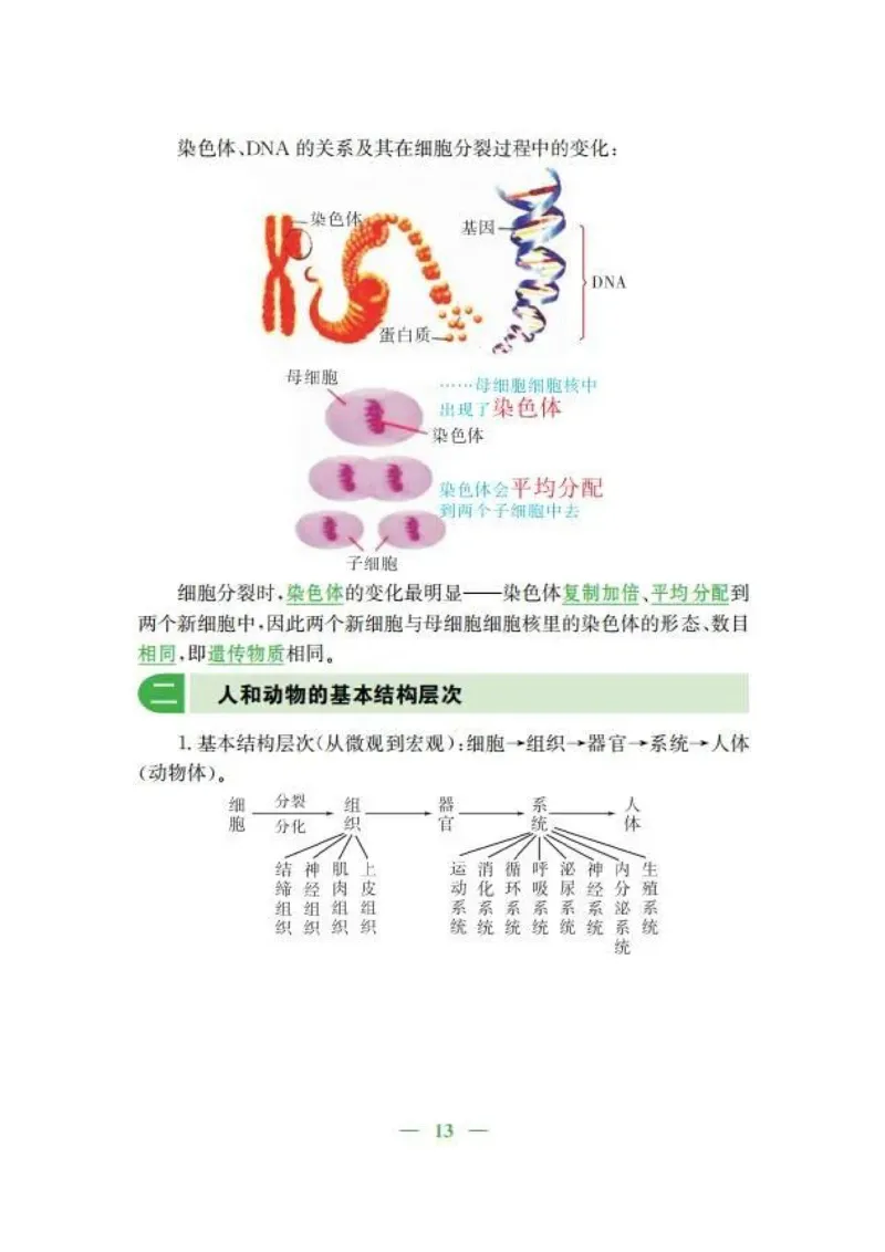 人教版初中生物七年级上册知识梳理_24秋《初中各科知识点梳理》_初中生物《知识梳理》7-8年级上下册_人教版初中生物7-8年级上下册知识点