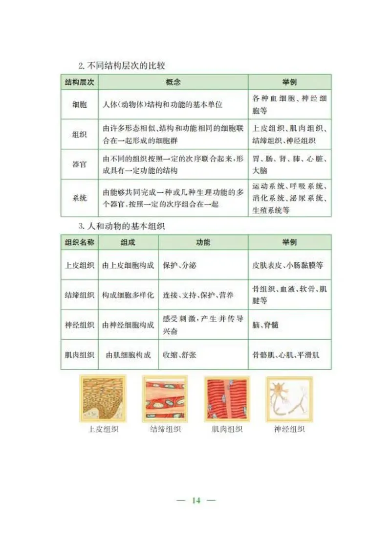 人教版初中生物七年级上册知识梳理_24秋《初中各科知识点梳理》_初中生物《知识梳理》7-8年级上下册_人教版初中生物7-8年级上下册知识点