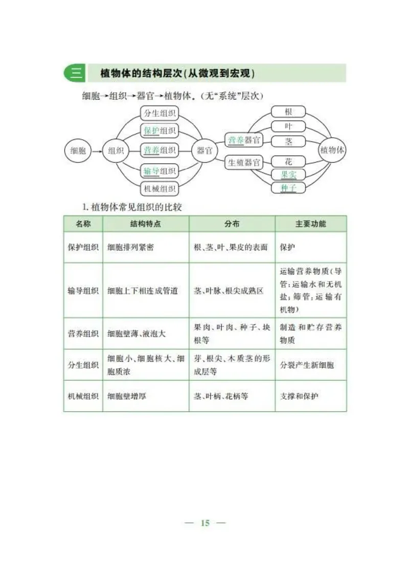人教版初中生物七年级上册知识梳理_24秋《初中各科知识点梳理》_初中生物《知识梳理》7-8年级上下册_人教版初中生物7-8年级上下册知识点