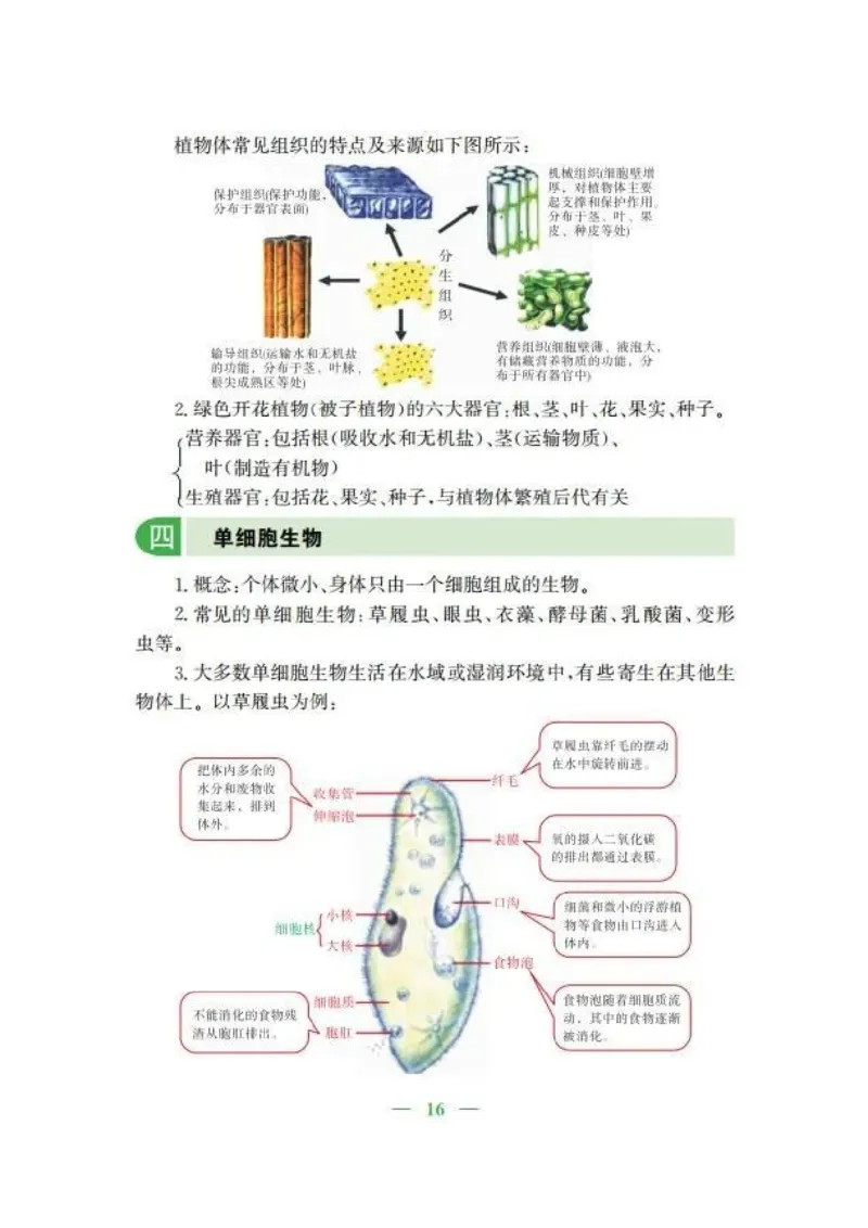 人教版初中生物七年级上册知识梳理_24秋《初中各科知识点梳理》_初中生物《知识梳理》7-8年级上下册_人教版初中生物7-8年级上下册知识点