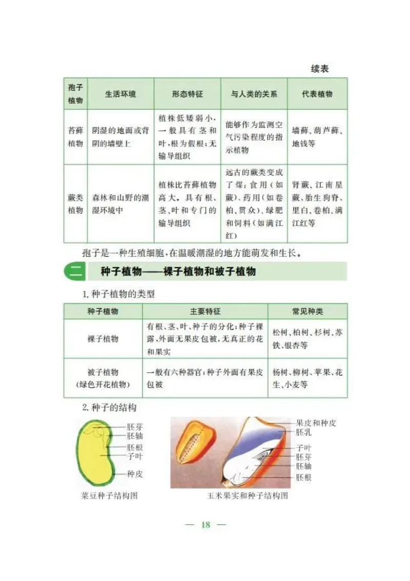 人教版初中生物七年级上册知识梳理_24秋《初中各科知识点梳理》_初中生物《知识梳理》7-8年级上下册_人教版初中生物7-8年级上下册知识点