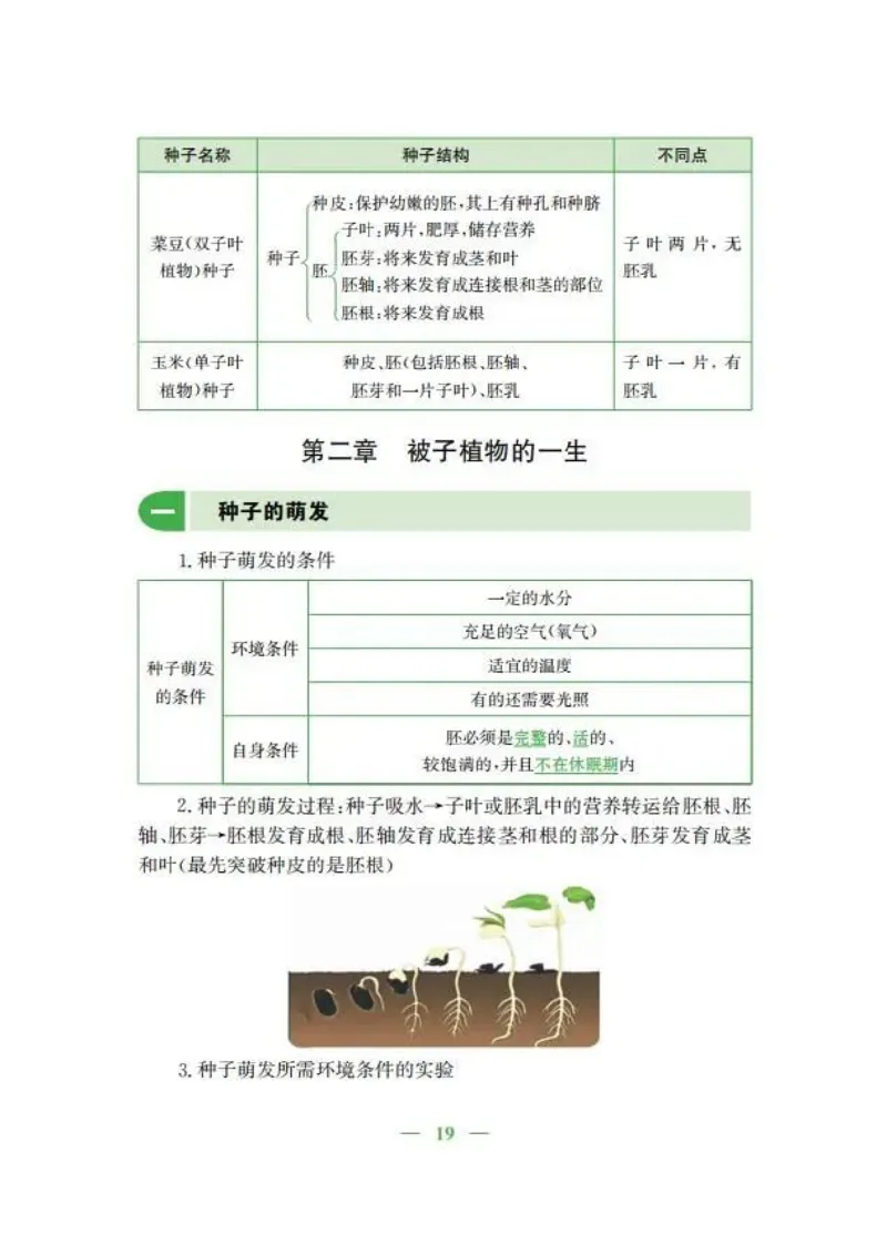人教版初中生物七年级上册知识梳理_24秋《初中各科知识点梳理》_初中生物《知识梳理》7-8年级上下册_人教版初中生物7-8年级上下册知识点