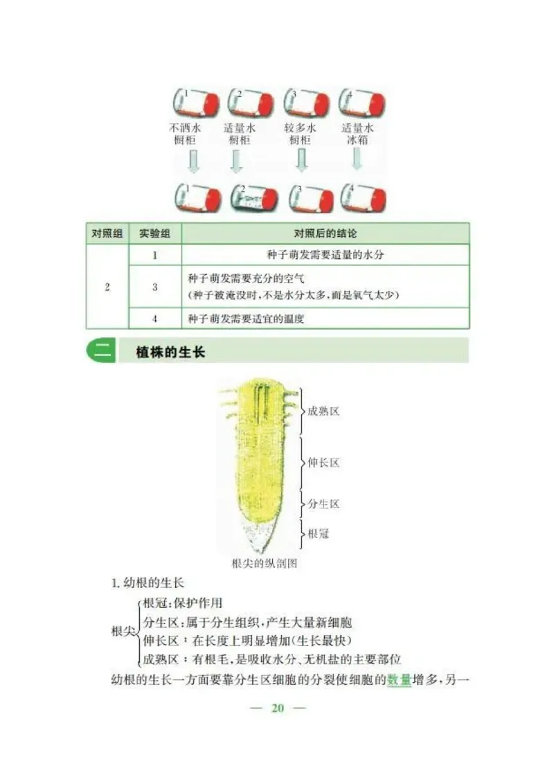 人教版初中生物七年级上册知识梳理_24秋《初中各科知识点梳理》_初中生物《知识梳理》7-8年级上下册_人教版初中生物7-8年级上下册知识点