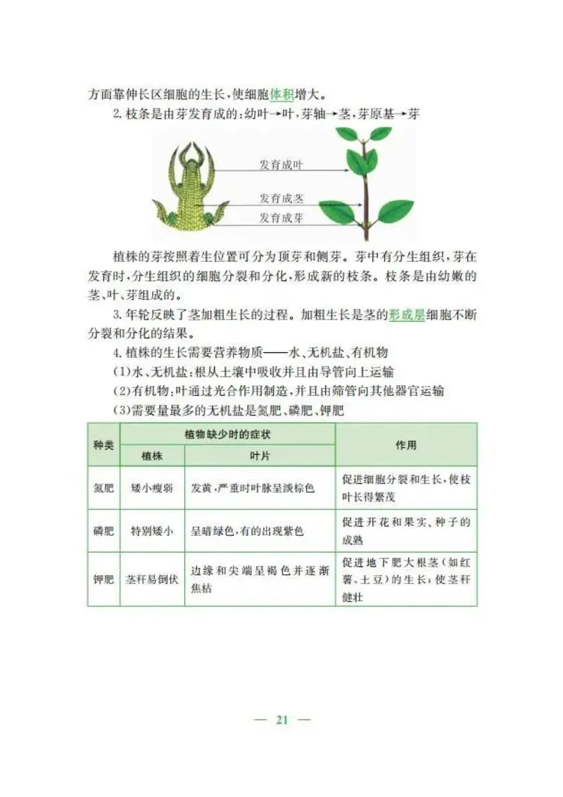 人教版初中生物七年级上册知识梳理_24秋《初中各科知识点梳理》_初中生物《知识梳理》7-8年级上下册_人教版初中生物7-8年级上下册知识点