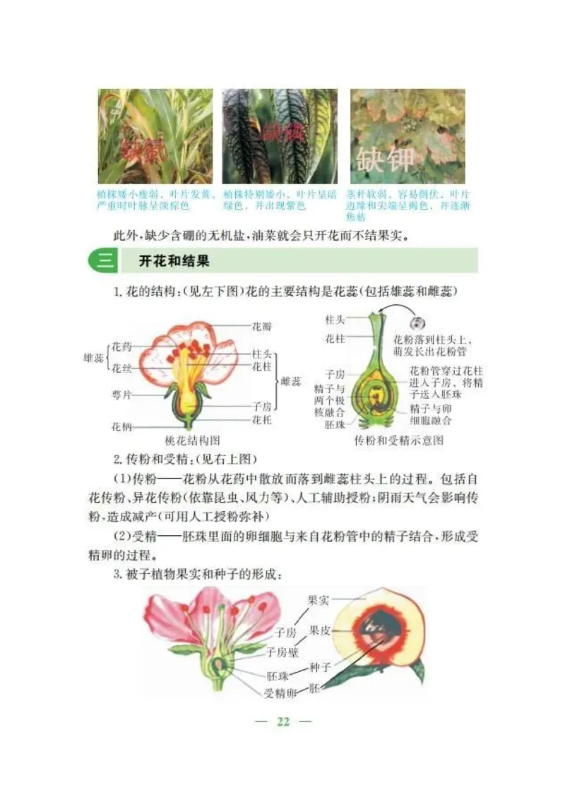人教版初中生物七年级上册知识梳理_24秋《初中各科知识点梳理》_初中生物《知识梳理》7-8年级上下册_人教版初中生物7-8年级上下册知识点