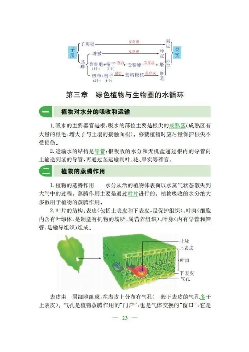 人教版初中生物七年级上册知识梳理_24秋《初中各科知识点梳理》_初中生物《知识梳理》7-8年级上下册_人教版初中生物7-8年级上下册知识点
