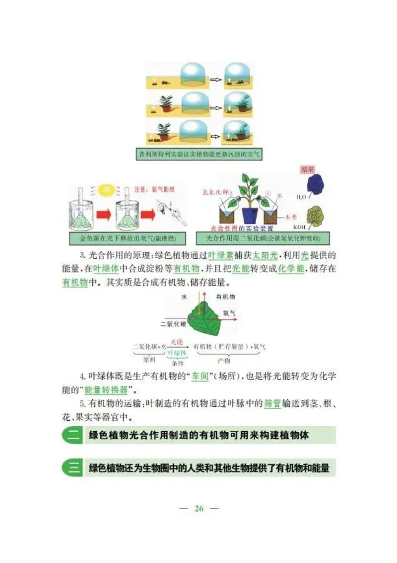 人教版初中生物七年级上册知识梳理_24秋《初中各科知识点梳理》_初中生物《知识梳理》7-8年级上下册_人教版初中生物7-8年级上下册知识点