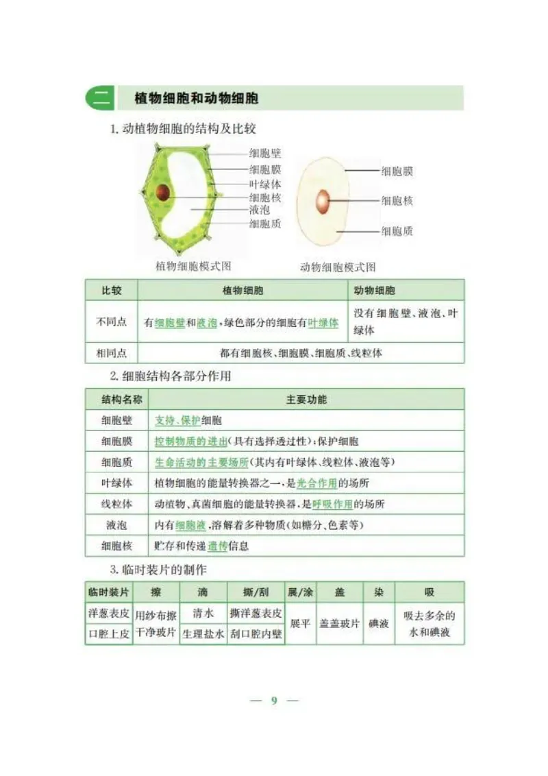 人教版初中生物七年级上册知识梳理_24秋《初中各科知识点梳理》_初中生物《知识梳理》7-8年级上下册_人教版初中生物7-8年级上下册知识点