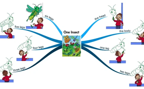 oneinsect_《小学思维导图》_思维导图语数英第二套_英语_思维导图_思维导图RAZAA