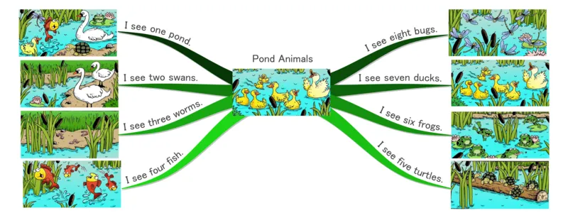 pondanimals_《小学思维导图》_思维导图语数英第二套_英语_思维导图_思维导图RAZA
