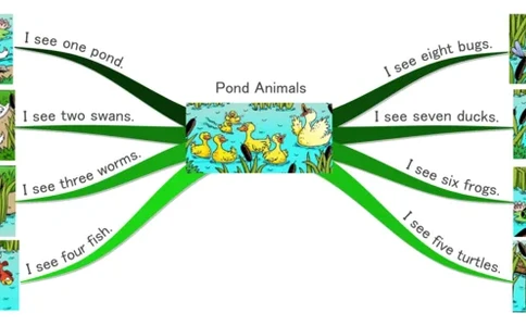 pondanimals_《小学思维导图》_思维导图语数英第二套_英语_思维导图_思维导图RAZA