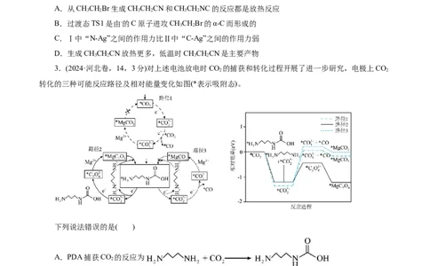 高考热点专项物质能量、能垒变化图像分析（原卷版）_05高考化学_2025年新高考资料_二轮复习_上好课2025年高考化学二轮复习讲练测（新高考通用）3379109_主题三化学反应原理