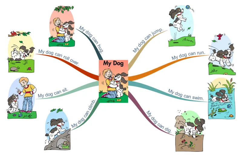mydog_《小学思维导图》_思维导图语数英第二套_英语_思维导图_思维导图RAZA