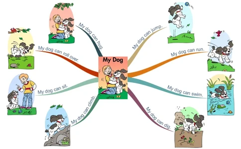 mydog_《小学思维导图》_思维导图语数英第二套_英语_思维导图_思维导图RAZA