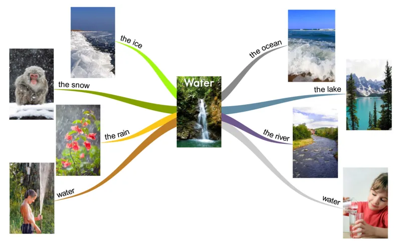 water_《小学思维导图》_思维导图语数英第二套_英语_思维导图_思维导图RAZAA